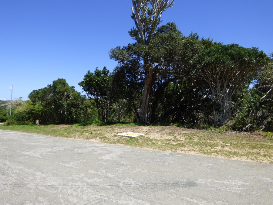 0 Bedroom Property for Sale in Kleinemonde Eastern Cape